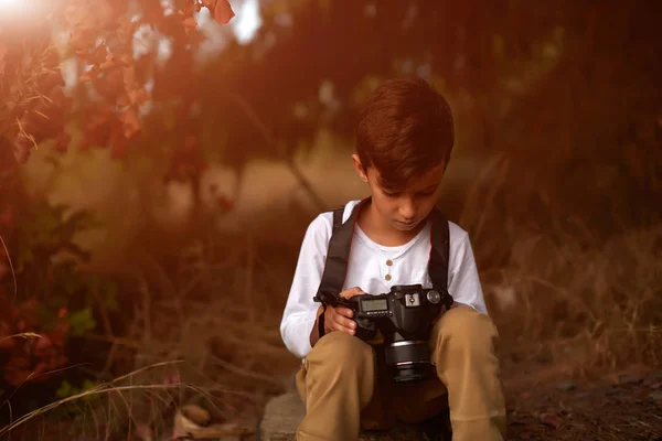 Paseo otoñal en el campo y en el bosque — Foto de Stock