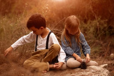 sonbahar yürüyüş alanında ve ormanda