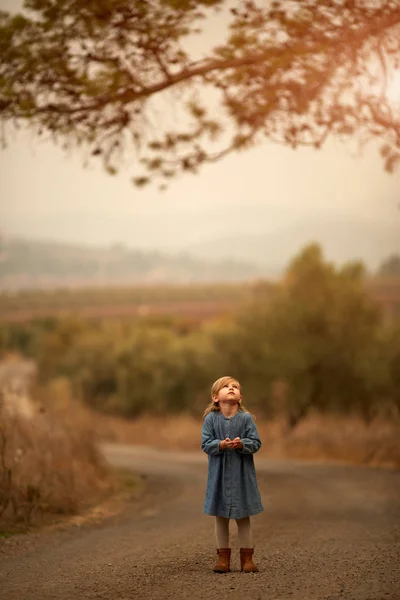 Caminar por el bosque - Imágenes de stock — Foto de Stock