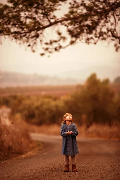 Niña caminando en campos de arroz de oro — Foto de Stock