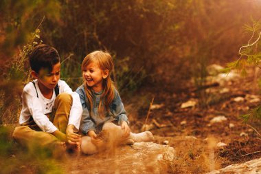 sonbahar yürüyüş alanında ve ormanda