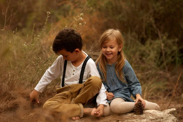 sonbahar yürüyüş alanında ve ormanda