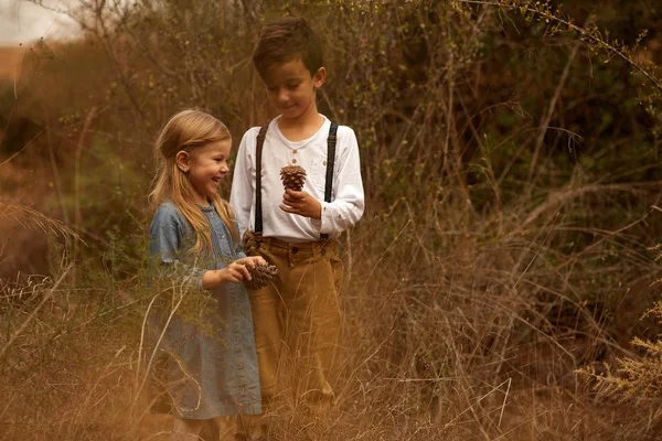 Брат і сестра грають з осіннім листям — стокове фото