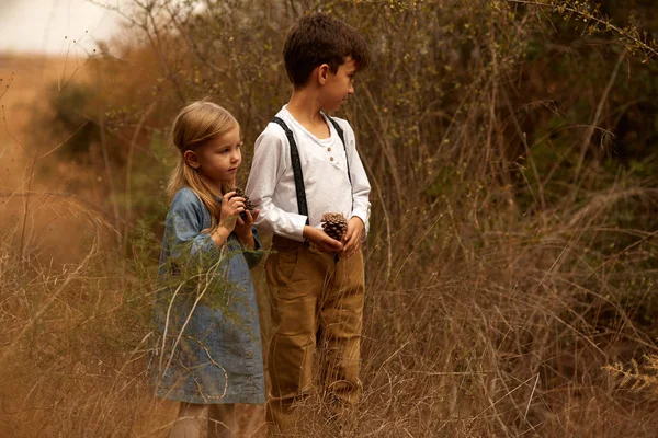 Маленький хлопчик і дівчинка, що працює в саду, збирають дітей — стокове фото