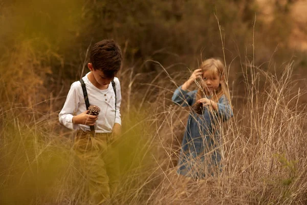 Hermano y hermana jugando en el campo —  Fotos de Stock