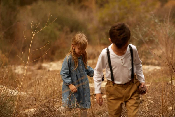 Sladký sourozenci, bratr a sestra, hraje v parku s listy, podzimní čas. Děti hrají, koncepce, štěstí — Stock fotografie