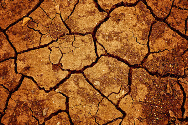 cracked clay ground into the dry season