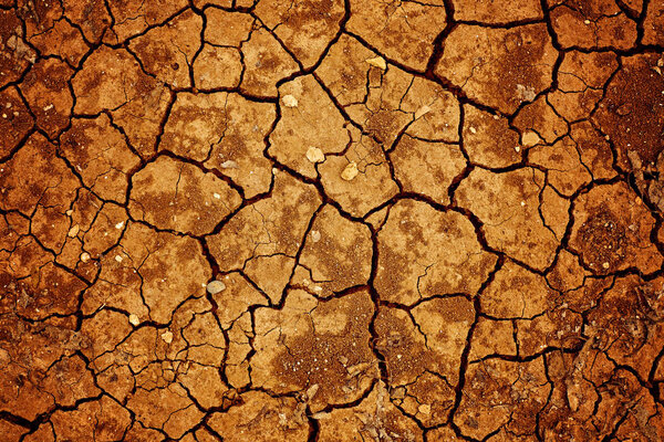 Dry cracked earth texture