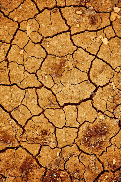 Texture cracked earth
