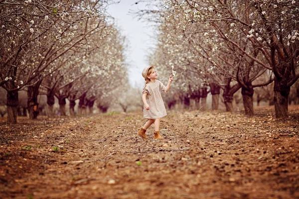 Girl in a neglected almond orchard. Girl in white running along old almond garden