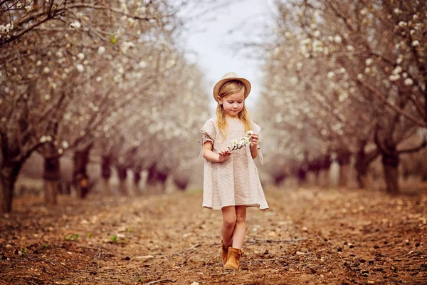 A girl in almonds — Stock Photo, Image
