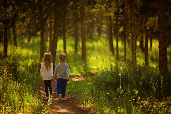 Zwei Mädchen, die Händchen haltend durch den Wald laufen — Stockfoto