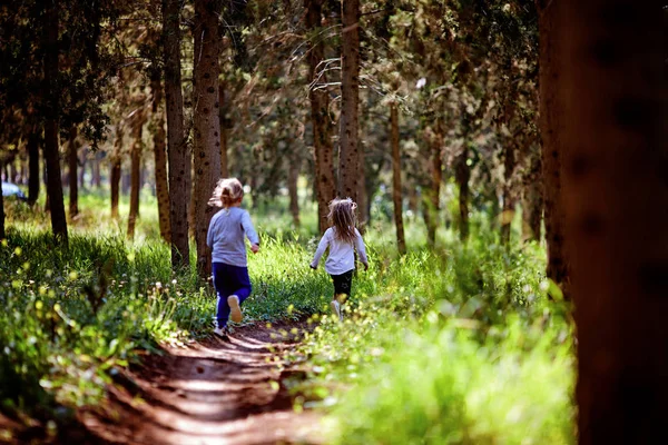 Две сестры бегают по лужайке в городском парке под открытым небом. Свобода и беззаботность. Счастливого детства. Человек неузнаваем. — стоковое фото