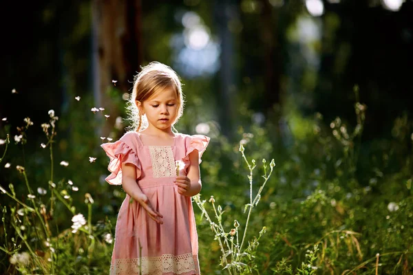 緑の芝生の上のタンポポの種を吹くツインテールとピンクのドレスの女の赤ちゃん — ストック写真