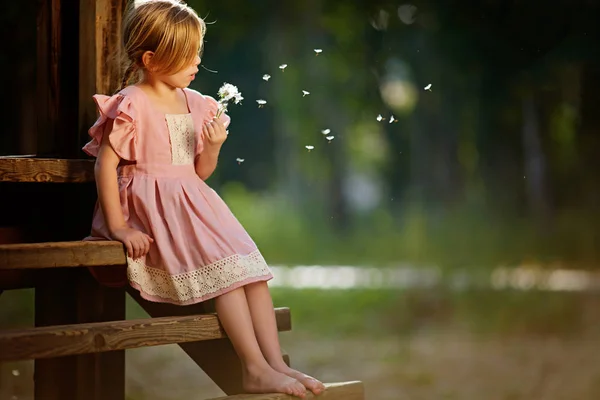 Glad liten flicka blåser maskros blomma utomhus. Tjejen har kul i vårparken. suddig bakgrund i solnedgången — Stockfoto