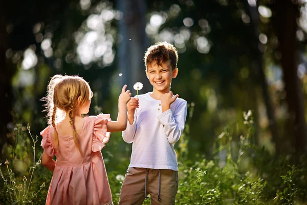 Junge und Mädchen auf dem Hintergrund der grünen Pusteblume — Stockfoto