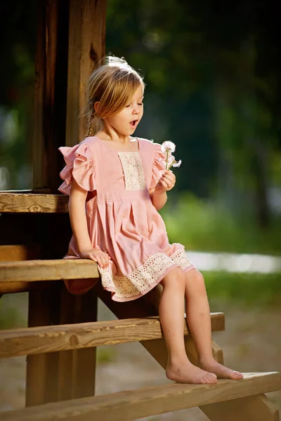 Una hermosa chica en un vestido rosa está sentada en un banco y soplando dientes de león . —  Fotos de Stock