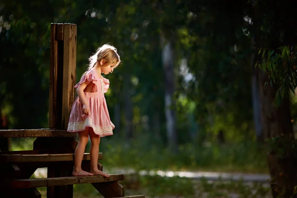 Krásná holčička v růžových šatech chůze naboso na malý dřevěný most přes příkop v parku — Stock fotografie