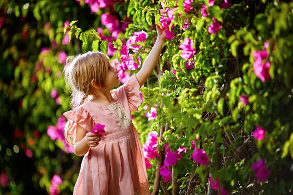 Hermosa niña en vestido de glamour rosa con coletas y cara sonriente en flor rosa primavera floreciendo día soleado —  Fotos de Stock