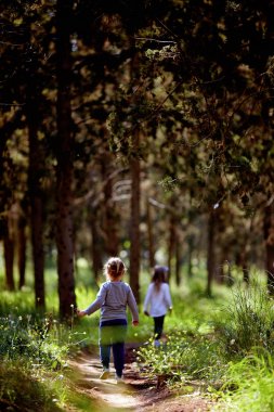 İki kız kardeş el ele tutuşarak ormanın içinden çalıştırın. Yaz güneşli gün ve ışık elbise kız. Güzel uzun saçlı bir çocuk