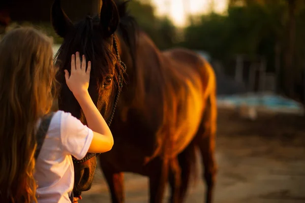 Vacker flicka strök en häst — Stockfoto