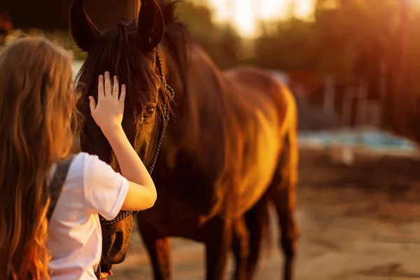 Ung blond tjej smeka en brun häst. — Stockfoto