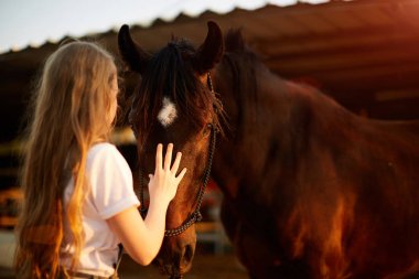 Güzel bir at gözlerinin içine görünüyor