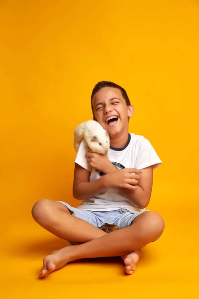 Niño feliz jugando con lindos conejillos de indias — Foto de Stock