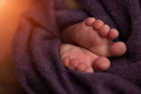紫色の背景をした新生児の足です。選択的焦点 — ストック写真