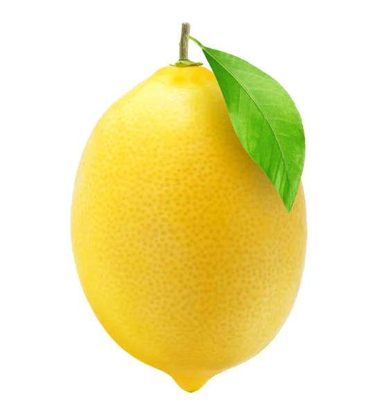 Лимон с листом, изолированным на белом — стоковое фото