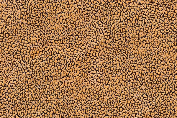 Textura de tecido laranja e preto sem costura — Fotografia de Stock