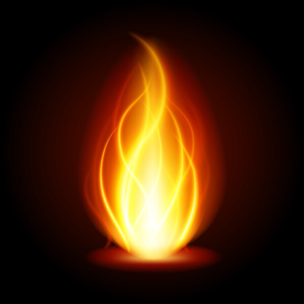 Abstract fire flame light on black background vector illustration. 