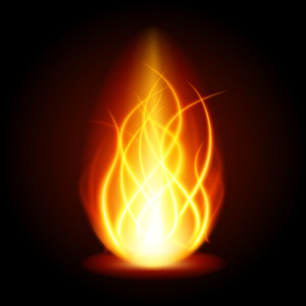 Abstract fire flame light on black background vector illustration. 
