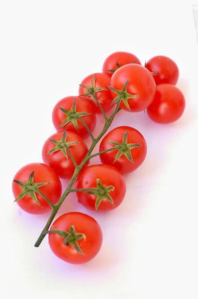 Tomates en el fondo blanco — Foto de Stock