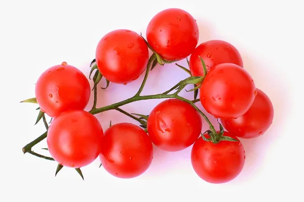 Tomates en el fondo blanco —  Fotos de Stock