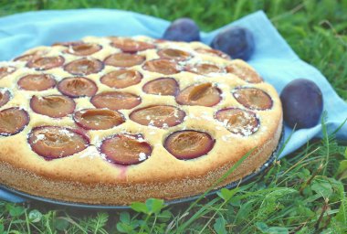 Parça ile Erik çimenlerin üzerinde mavi kumaş üzerine yaz pastası