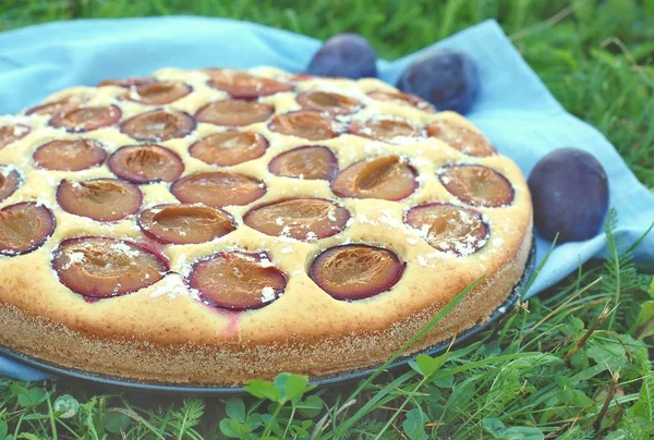 Piece of summer cake with plums on blue cloth on grass