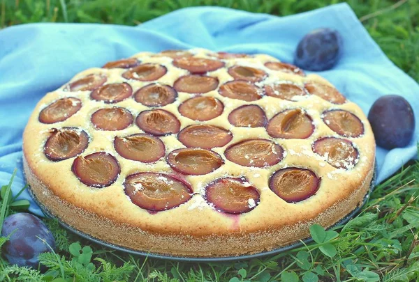 Parça ile Erik çimenlerin üzerinde mavi kumaş üzerine yaz pastası