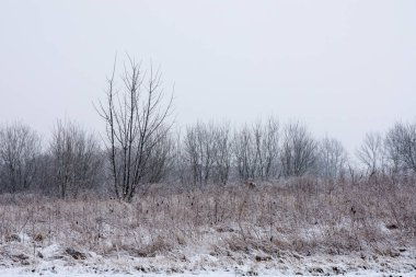 Kırsal karla kaplı alanlar