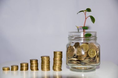 Beyaz bir arka plan üzerinde tasarruf artan kavramı