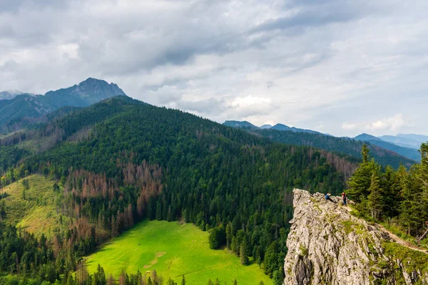 Edelweiss y otra vegetación en la roca. Nosal. Tatra Mountai Imagen de archivo