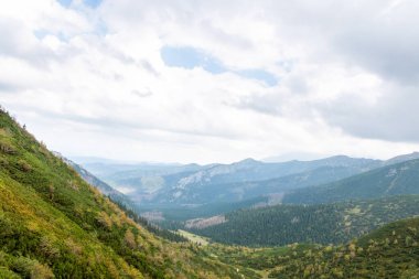 Polonya Tatra Dağları 'ndaki orman ve kayalar
