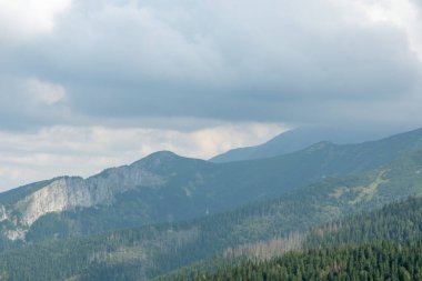 Tatry dağları ve onları kaplayan ormanlar. Yaz