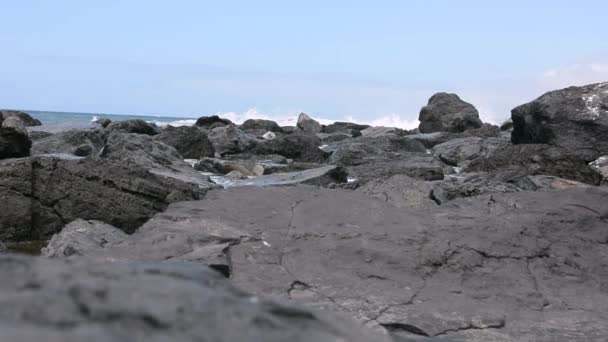 Kayalar prebrezhnye kırma dalga okyanus ve su sıçramalarına bir sürü oluşturmak — Stok video