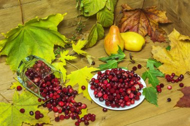 Kızılcık ve armut natürmort ile sonbahar yaprakları