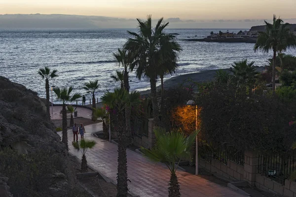 Paseo nocturno por el callejón con palmeras en la playa — Foto de Stock
