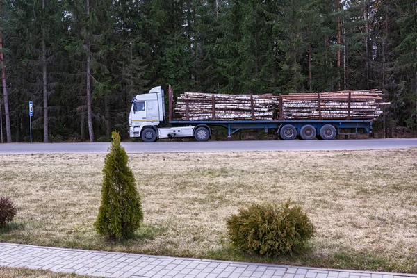 Camiones especiales transportan troncos de árboles talados — Foto de Stock