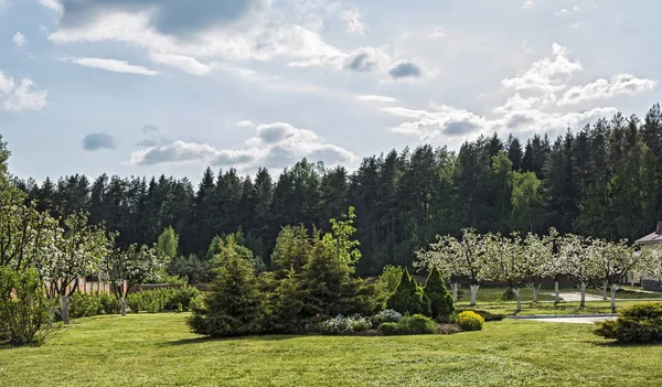 Eine natürliche Landschaft mit Apfelgarten und Zierpflanze — Stockfoto