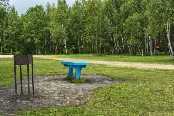 Rustplaats met tafel en barbecue in het bos op de glade — Stockfoto