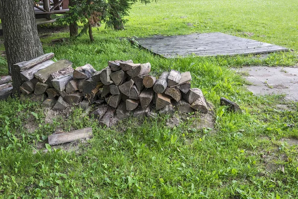 Chopped firewood stacked on grass near the tree — Stock Photo, Image